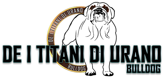 Allevamento Bulldog Inglese DE I TITANI DI URANO